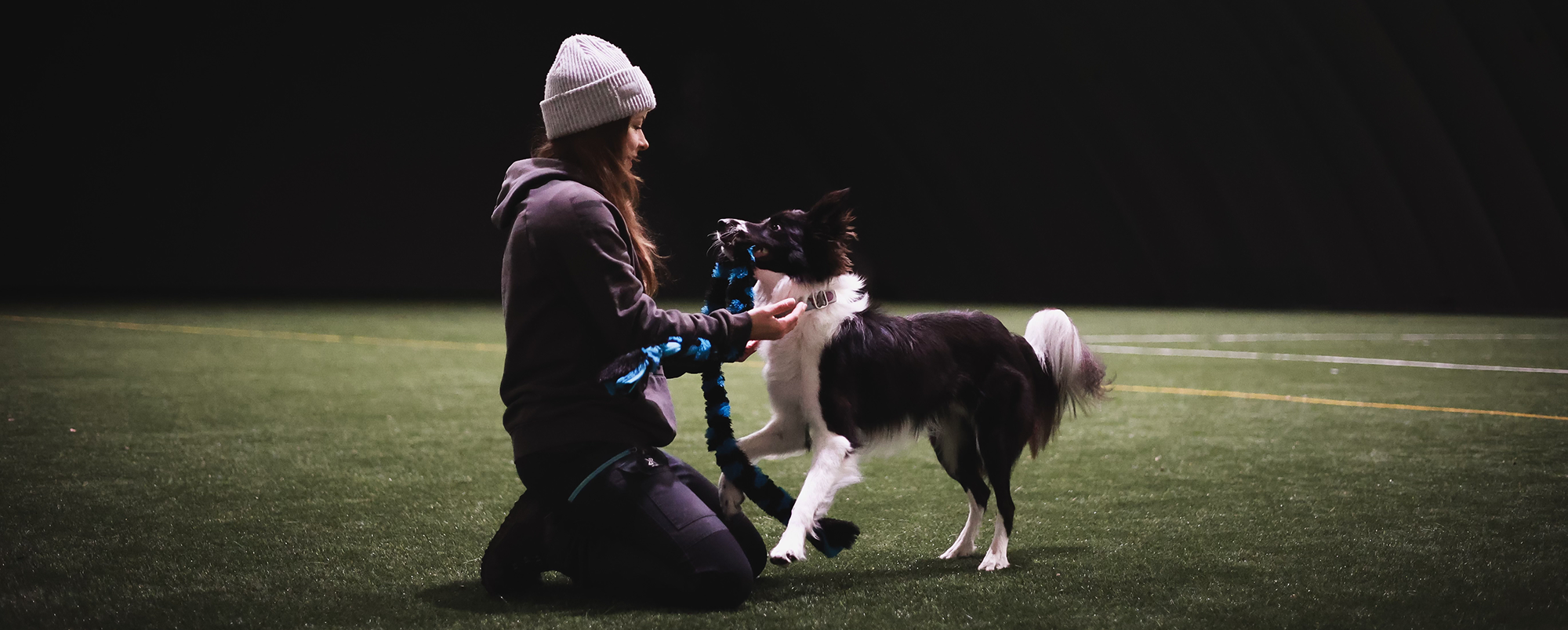 You are currently viewing Disc Dog Foundations
