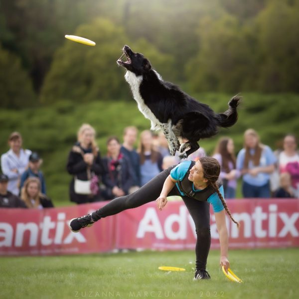Woman performing a freestyle frisbee routine with her Border Collie, who is leaping from her back to catch a yellow disc in front of a crowd.